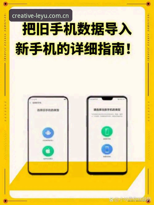 leiyu乐鱼体育手机版更新评测完整指南：从注册到看数据的实用体验