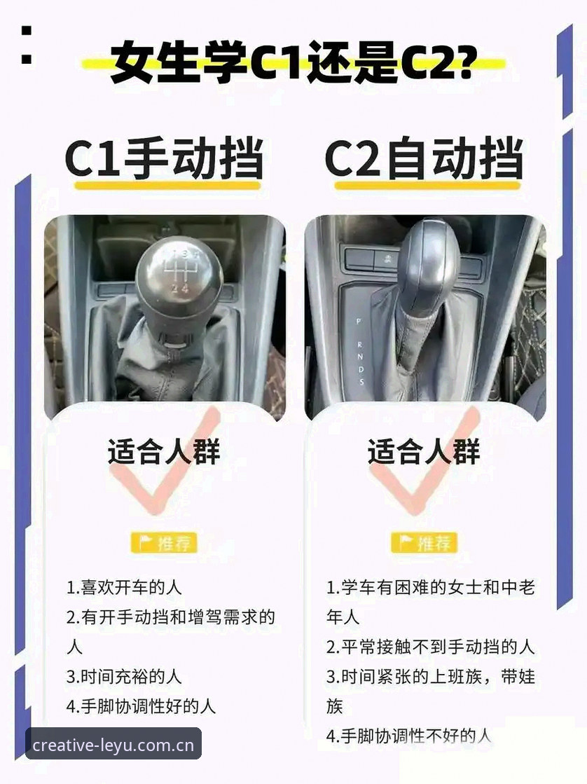 乐鱼3分钟核验，手动vs自动对比：哪种方式更适合你？